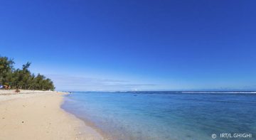 Le lagon de Saint-Leu et son flamboyant