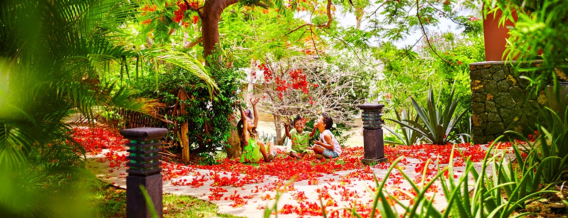 Flamboyant dans les jardins de l'hôtel, ILOHA Seaview Hotel 3*, île de la Réunion